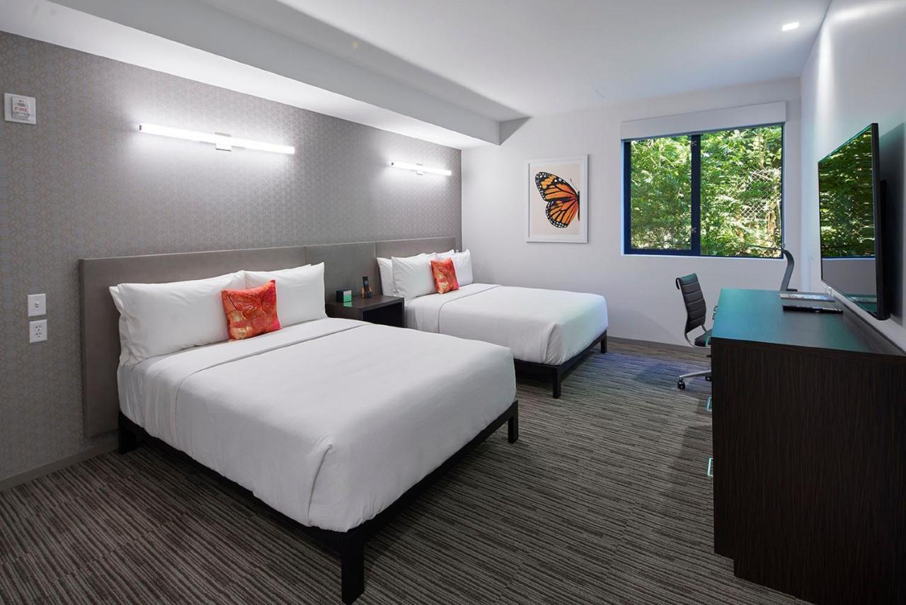 Standard Two Queen Beds - Non-Smoking