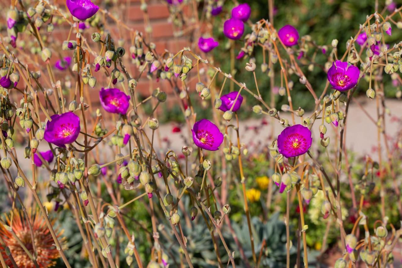 King Studio