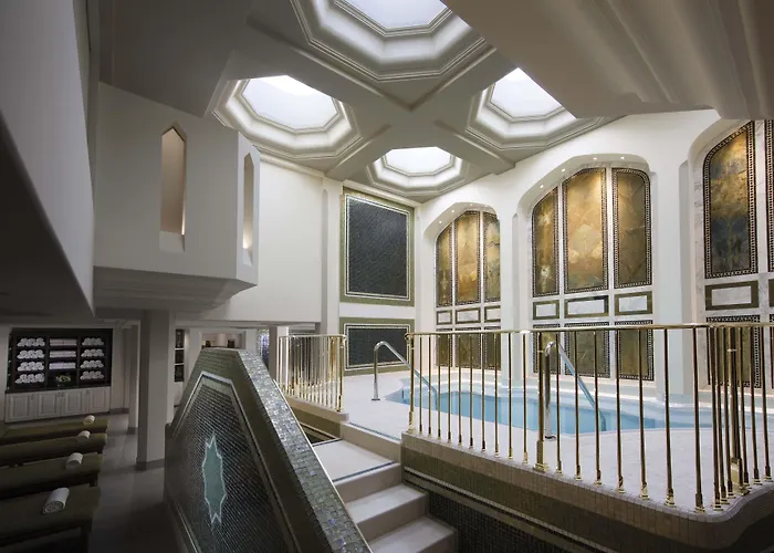 Pet Friendly Hotels Los AngelesMaybourne Beverly Hills